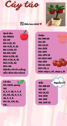 chart móc cây táo