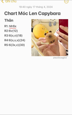 chart móc len capybara len