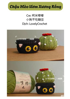 🐱 Chậu Mèo Ươm Xương Rồng 🌵