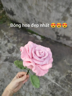 Hoa Hồng Khổng Lồ 🌹