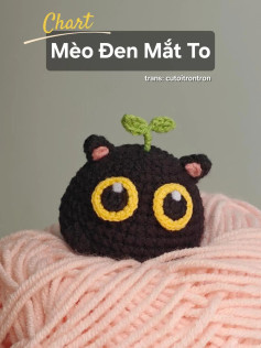 Mèo đen mắt to