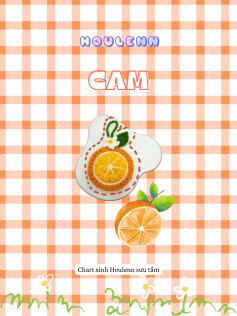 móc khóa quả cam