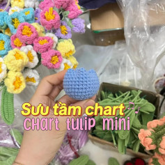 sưu tầm chart chart tulip mini