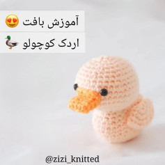 آموزش بافت اردک کوچک با قلاب