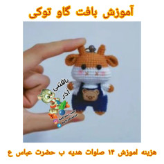 آموزش بافت گاو توکی