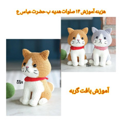 آموزش بافت گربه
