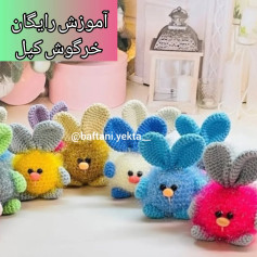 آموزش رایگان خرگوش کپل