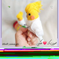 عروس هلندی بافتنی زیبا و بامزه
