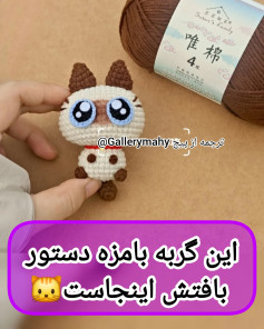 این گربه بامزه با دستور بافتش اینجاست 🐱