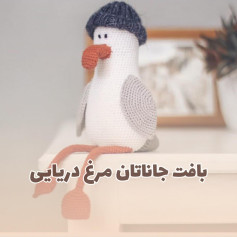بافت جاناتان مرغ دریایی