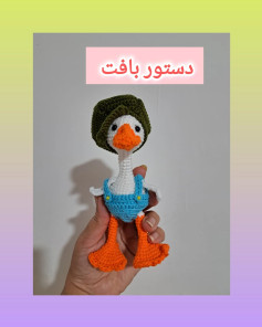 دستور بافت اردک با لباس رنگارنگ