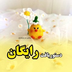 دستور بافت اردک زرد با گل بابونه