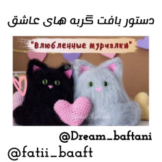 دستور بافت گربه های عاشق