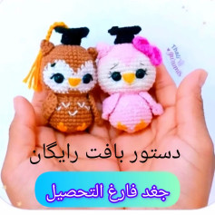 دستور بافت جغد فارغ التحصیل
