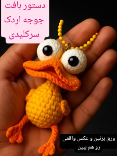 دستور بافت جوجه اردک سرکلیدی