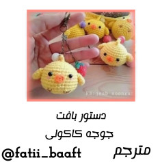 دستور بافت جوجه کاکولی