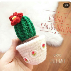Düğmeli Kaktüs Nasıl Örülür: Adım Adım Kılavuz