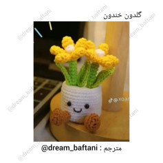 گل قلاب بافی با گلهای زرد خندان