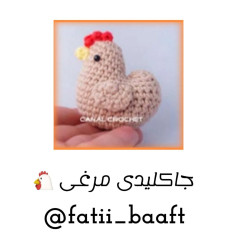 جا کلیدی مرغ قلاب‌بافی شده