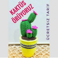 Kaktüs Örme Sanatı: Ücretsiz Tarif ve Kolay Adımlar