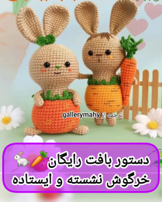 خرگوش‌های قلاب‌بافی در لباس هویج