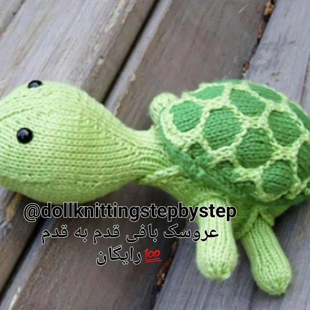 خرسی در تعطیلات