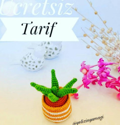 Ücretsiz Tarif: Tığ İşi Minyatür Sukulent Yapımı