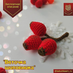 Веточка шиповника