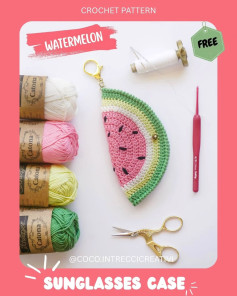 Watermelon Sunglasses Case Crochet Pattern: Free Guide
