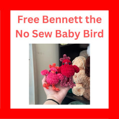 Crochet Bennett Baby Bird Pattern - Easy and No Sew Instructions