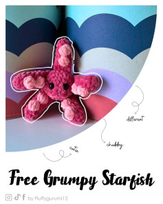 Crochet Your Own Cute Grumpy Starfish Plushie Pattern