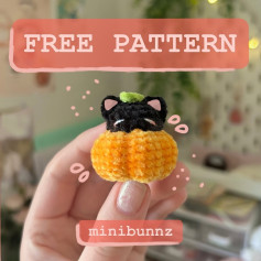 Cute Crochet Black Cat in Pumpkin - Free Pattern