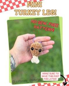 Cute Mini Turkey Leg Crochet Pattern, No Sewing Needed