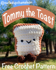 Tommy the Toast Free Crochet Pattern by Curled Up Chameleon