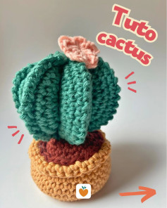 Tutoriel crochet cactus facile pour débutants