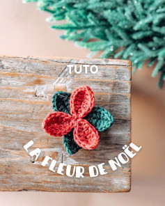 Tutoriel pour crocheter la fleur de Noël en laine