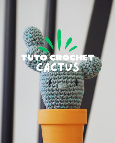 Tutoriel pour crocheter un cactus mignon en pot