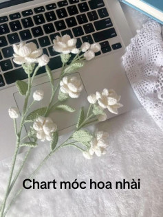 chart móc hoa nhài