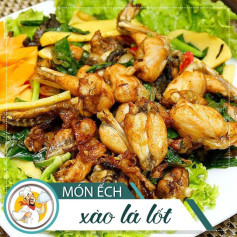 Ếch Xào Lá Lốt Thơm Lừng Vị Quê Hương