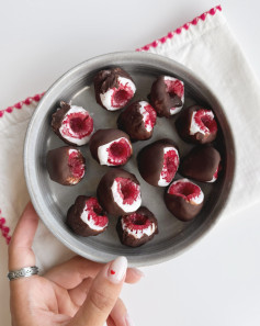 Frozen Chocolate Raspberry Delight Bites