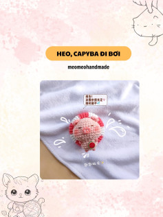 heo capybara đi bơi