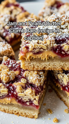 Jam and Peanut Butter Crumb Bars