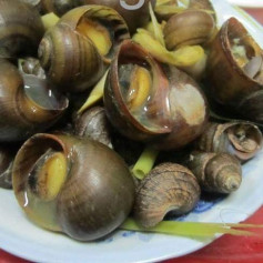 Hướng dẫn luộc Ốc bươu, ốc hộ hoặc ốc thường to đều