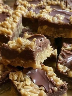 NO-BAKE CHOCOLATE OAT BARS