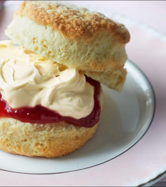 Scones Scones Scones