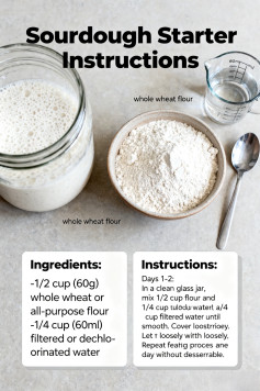 Sourdough Starter Instructions ⬇️