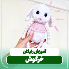 آموزش رایگان خرگوش