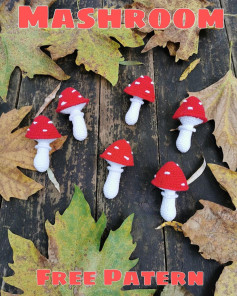 Crochet Mushroom Amigurumi Pattern for Beginners - Free and Easy