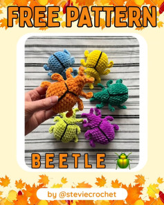 Free Crochet Pattern for Colorful Beetle Plush Toys