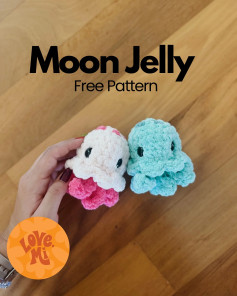 Moon Jelly Crochet Pattern: Make Your Cute Amigurumi Jellyfish